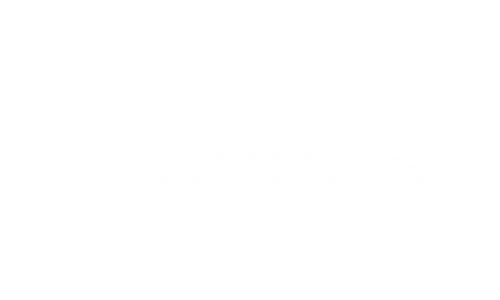 aminesslogo_up-01